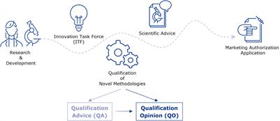 Biomarkers in Medicines Development—From Discovery to Regulatory Qualification and Beyond